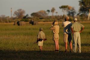 seba camp safari