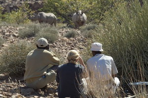 desert rhino camp namibia luxury safaris