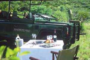 madikwe hills lodge madikwe reserve luxury safari