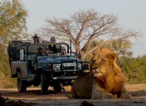 chiawa camp zambia luxury safaris