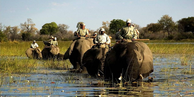 Elephant Back Safari - Exploring Southern Africa | Southern African Safaris | Classic Africa