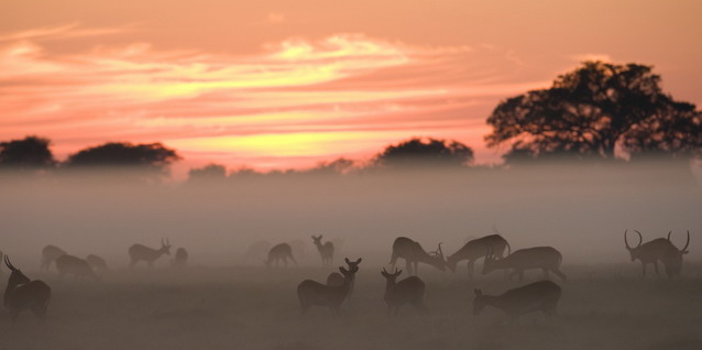 Sunrise on the Busanga Plains - Safari Seasons | Luxury African Safari Vacations | Classic Africa