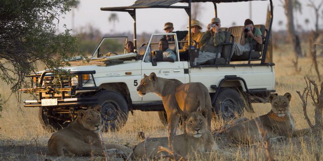 Zimbabwe Luxury Safaris | Tailor-Made Safari Tours & Vacations ...