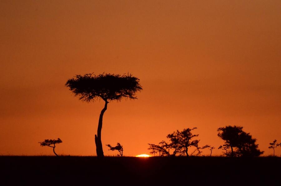 Bob and Kathy from New Jersey - Luxury African Photo Safaris | Classic ...